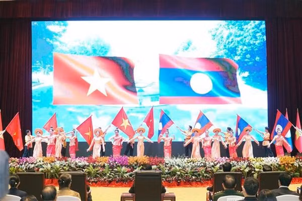 Vietnam-Laos mutual support make bilateral ties special: Lao official ảnh 2