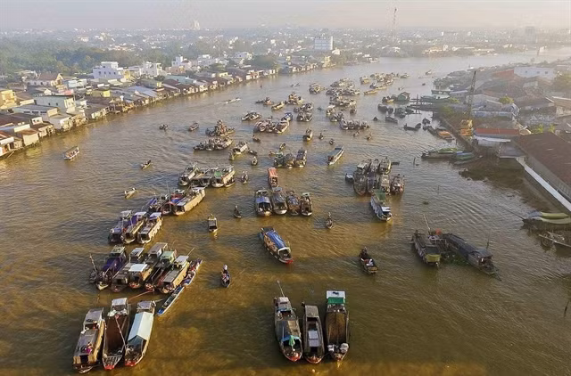 Can Tho plans to host festivities to promote tourism ảnh 1