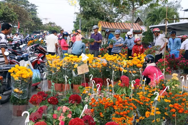 Ornamental plants - indispensable part of Tet ảnh 1