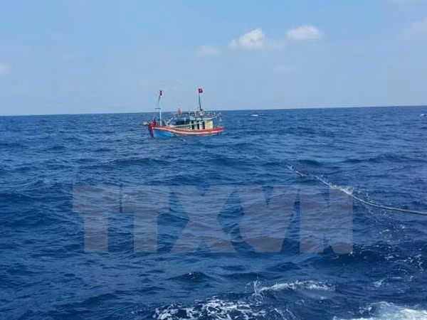 State budget provides fishing vessel insurance premium support ảnh 1