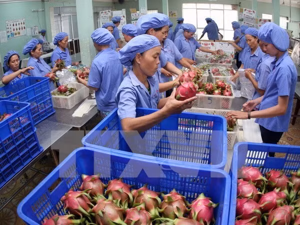 Vietnam eyes 21 billion USD in cultivation exports in 2018 ảnh 1