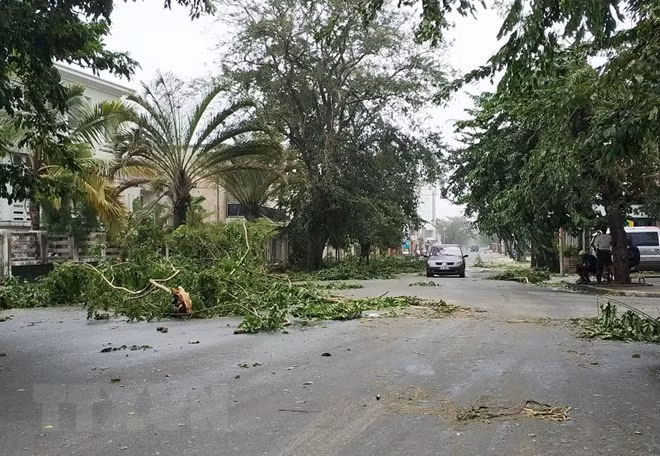 Philippines: Four dead as storm hits Mindanao island ảnh 1