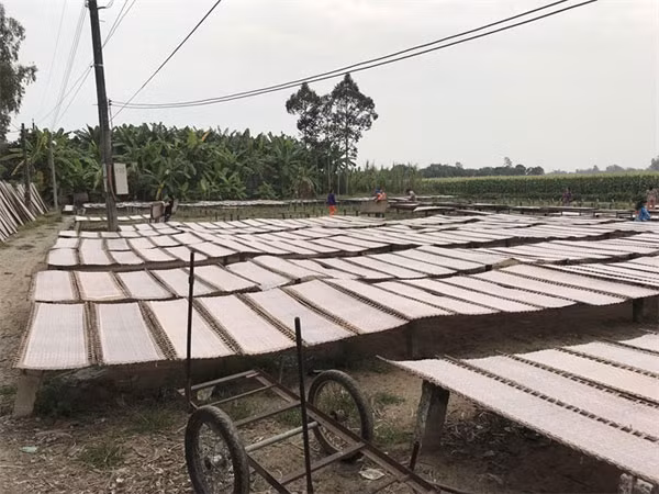Rice paper village keeps ancient craft alive ảnh 1 Rice paper village keeps ancient craft alive ảnh 1