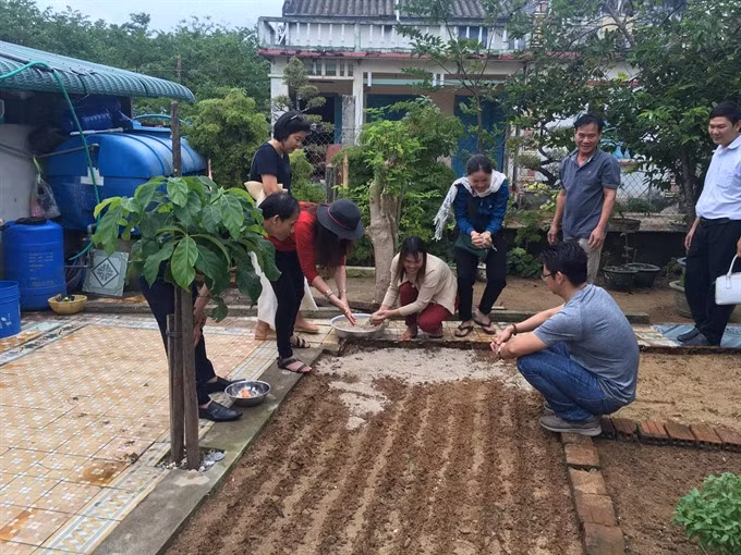 Ly Son Island leaps into the present ảnh 4