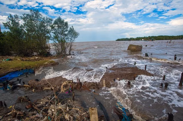 Sediment loss in Mekong River killing southern delta ảnh 1