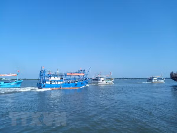 Tien Giang takes urgent solutions to IUU fishing ảnh 1