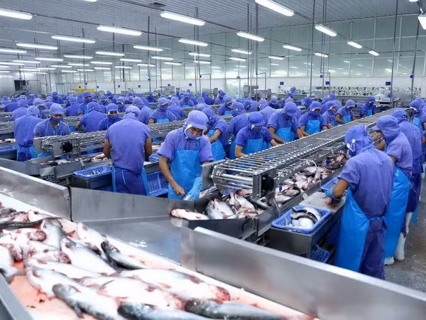 Vietnam’s export turnover to expand 8-10 pct in 2018 ảnh 1