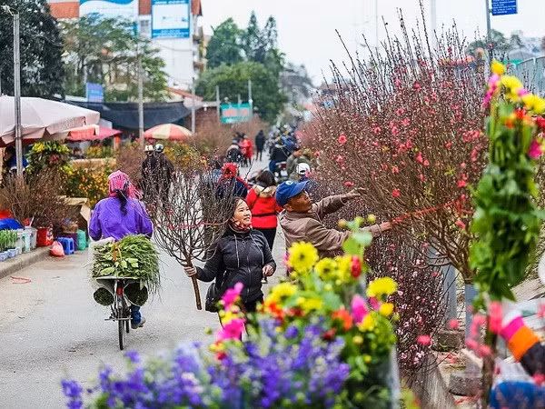 Various activities bring better Tet to the needy ảnh 1
