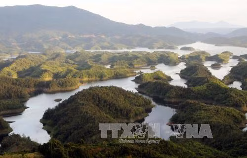 Ta Dung Nature Reserve becomes National Park ảnh 1