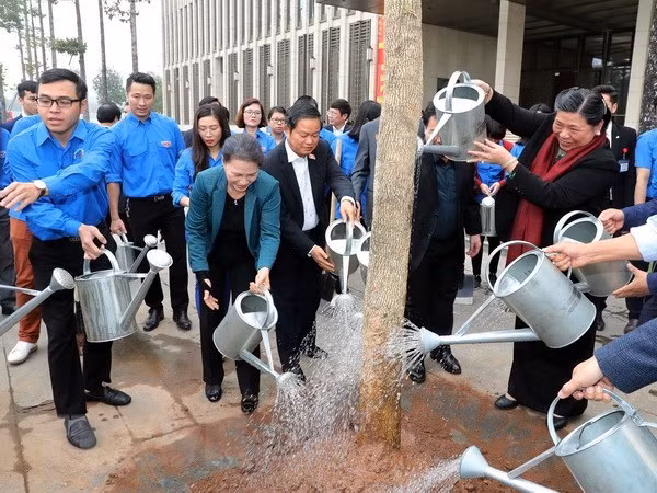 Ban flower trees planted at NA House ảnh 1