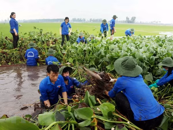 Contest for rural youth start-ups launched ảnh 1