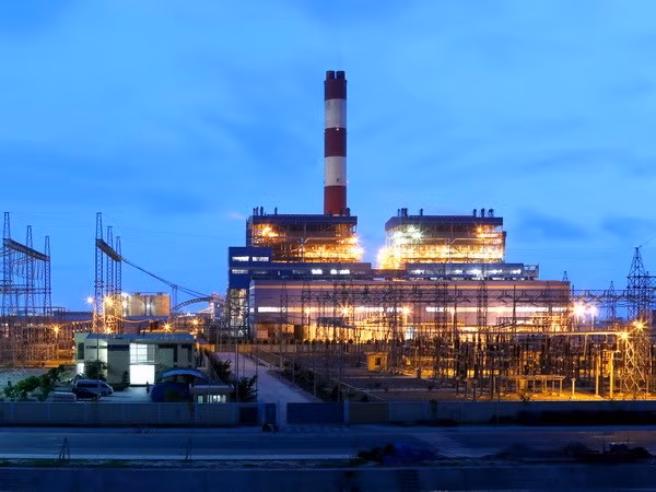 Environment at Vinh Tan power complex under scrutiny ảnh 1 Environment at Vinh Tan power complex under scrutiny ảnh 1