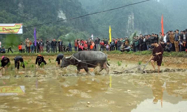 Long Tong, unique farming ritual of the Tay ảnh 1
