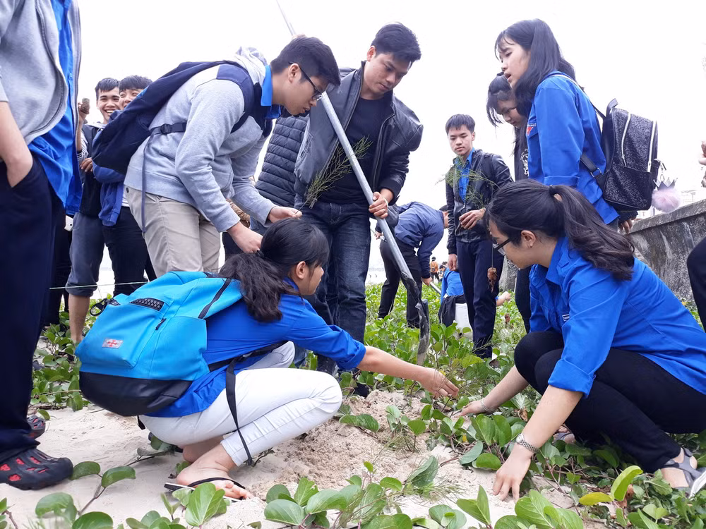 Localities nationwide launch New Year tree planting festival ảnh 1 Localities nationwide launch New Year tree planting festival ảnh 1