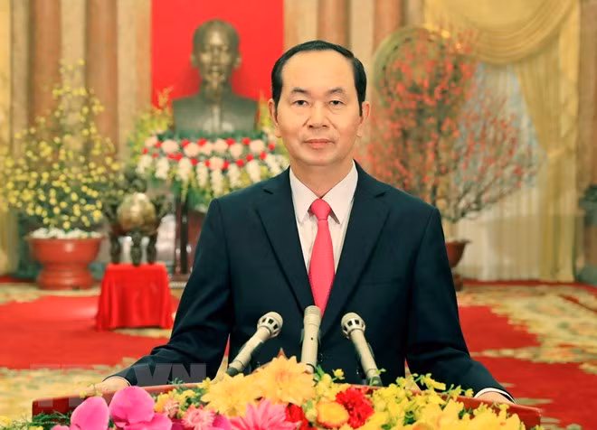 President Tran Dai Quang wishes Vietnamese a prosperous New Year ảnh 1