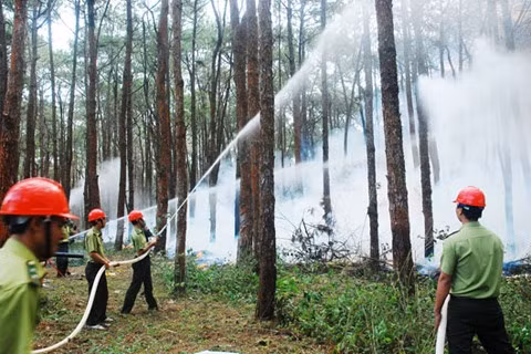 Dak Nong keeps wary eye on forests to prevent dry season fires ảnh 1