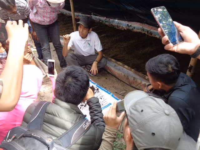 Worms can revive polluted farms ảnh 1 Worms can revive polluted farms ảnh 1