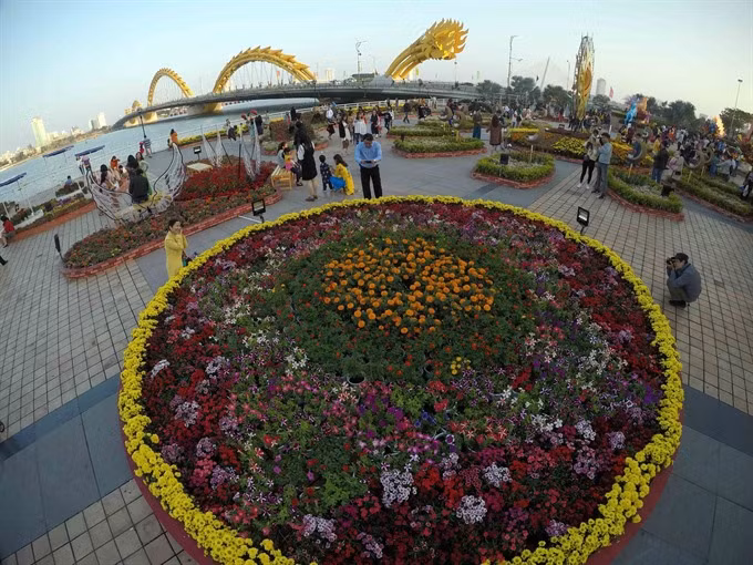 Da Nang to set livable city criteria ảnh 1 Da Nang to set livable city criteria ảnh 1