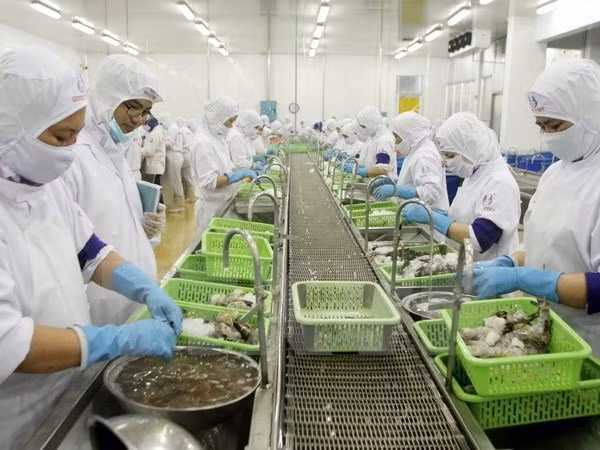 Vietnamese exporters start to add value ảnh 1