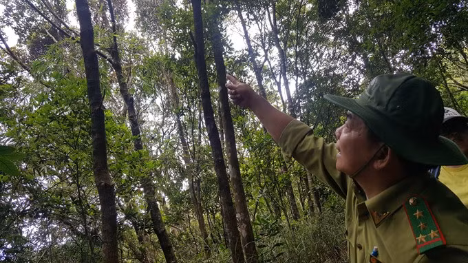 National park guide talks to the birds ảnh 1