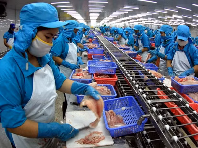 Can Tho: Early industrial restructuring needed for breakthrough growth ảnh 1