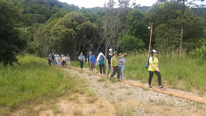 National park guide talks to the birds ảnh 2