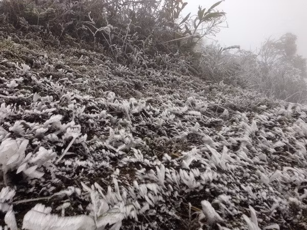 Mu Cang Chai blanketed in ice for third time in one month ảnh 1