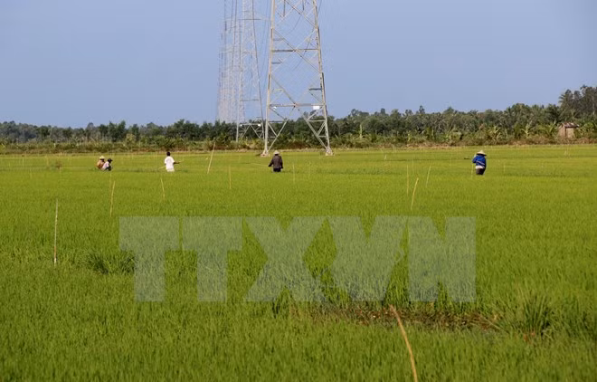 Japan puts stress on agricultural deal with Vietnam ảnh 1 Japan puts stress on agricultural deal with Vietnam ảnh 1