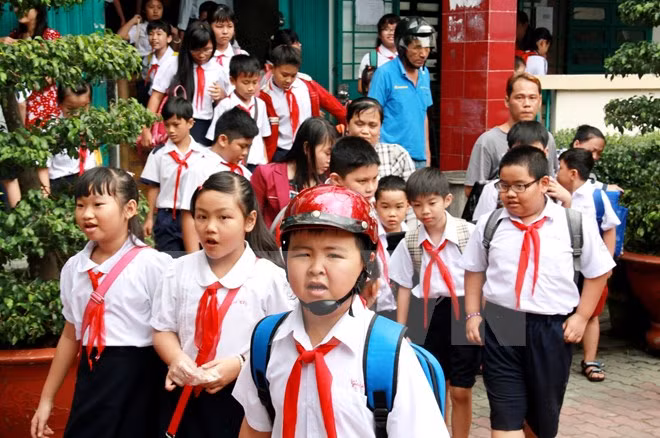 Population work decisive to sustainable development ảnh 1