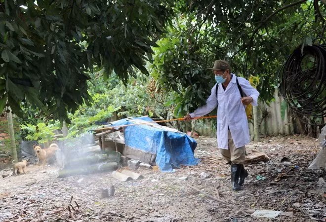 Phu Yen declares end to A/H5N6 outbreak ảnh 1