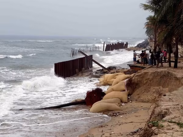 Tra Vinh to build embankments to protect local coast ảnh 1