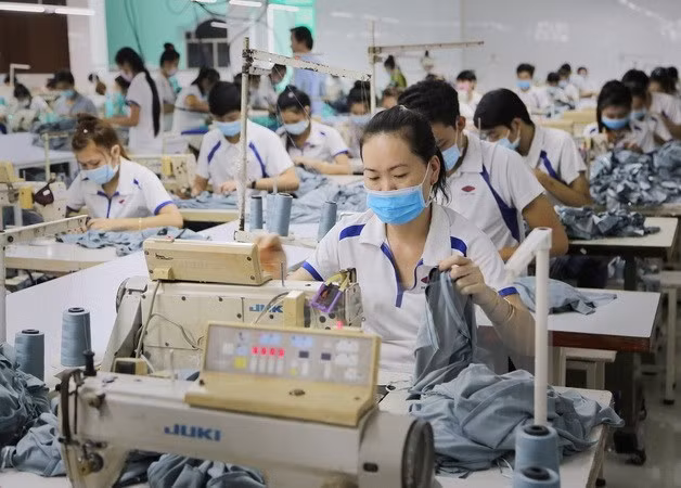 Export revenue drops in October ảnh 1
