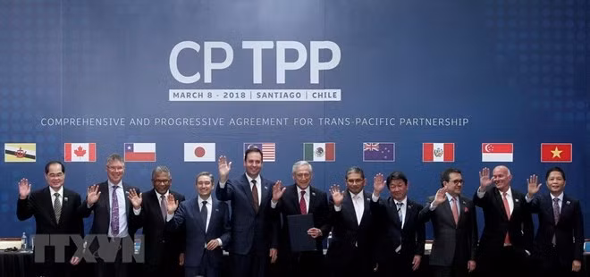 CPTPP operation to be discussed in Tokyo ảnh 1