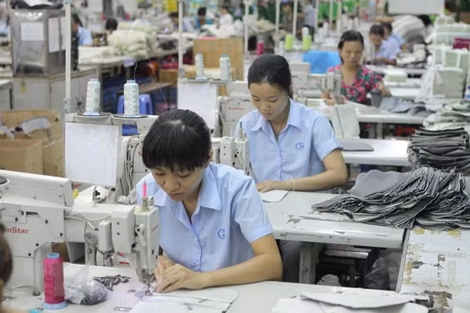 Binh Duong to pilot ILO’s New Industrial Framework project ảnh 1 Binh Duong to pilot ILO’s New Industrial Framework project ảnh 1