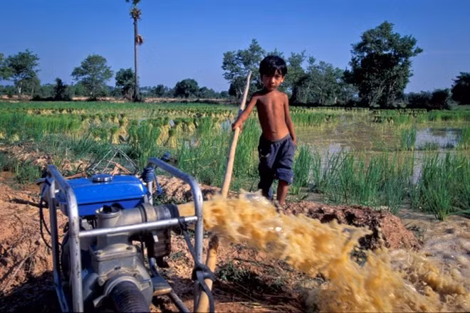 ADB helps improve Vietnam’s irrigation systems ảnh 1