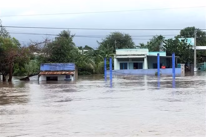 Storm Usagi devastates central, southern localities ảnh 1