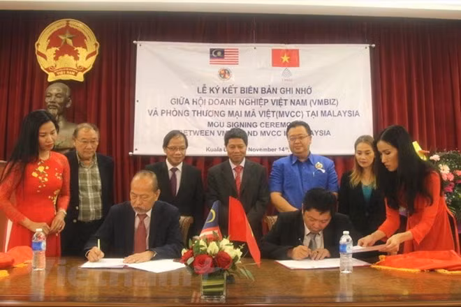 New impulse for Vietnam-Malaysia business cooperation ảnh 1