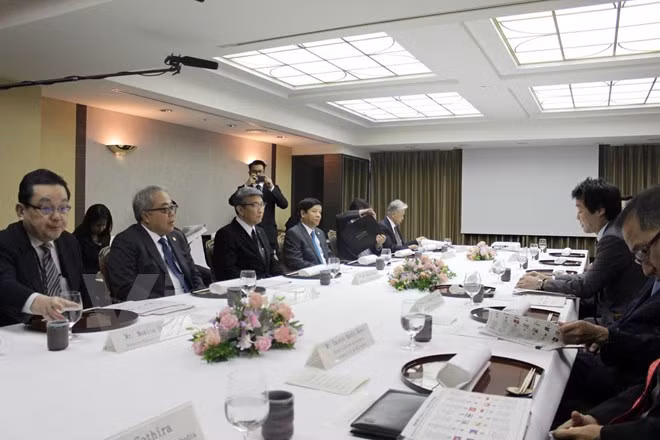 Japan, ASEAN to promote cultural exchange ảnh 1