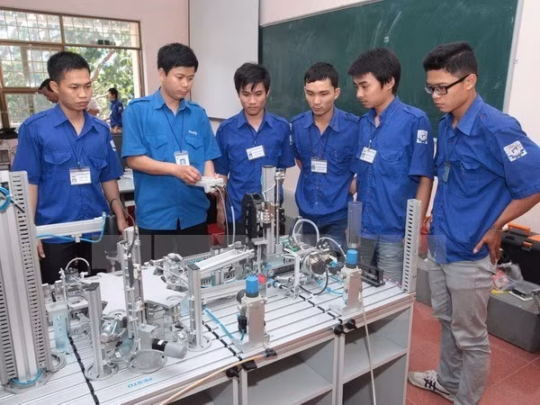 Private sector’s engagement crucial to vocational training ảnh 1