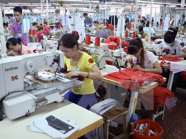 SMEs urged to invest more in technological innovation ảnh 1