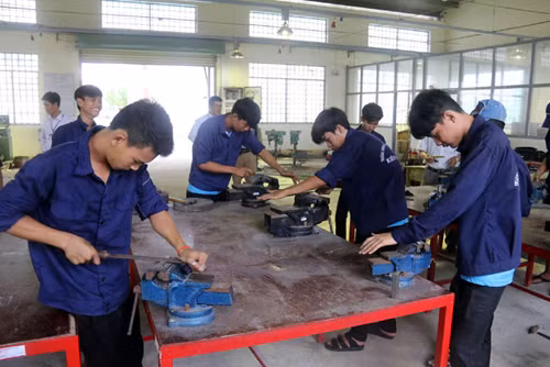 Ho Chi Minh City offers vocational training to ethnic minorities ảnh 1