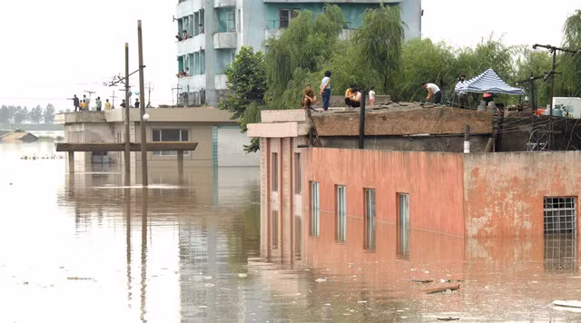 Vietnam Red Cross provides relief aid to DPRK’s flood victims ảnh 1