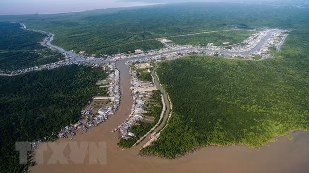 Exploring nine Ramsar sites of Vietnam ảnh 3 Exploring nine Ramsar sites of Vietnam ảnh 3