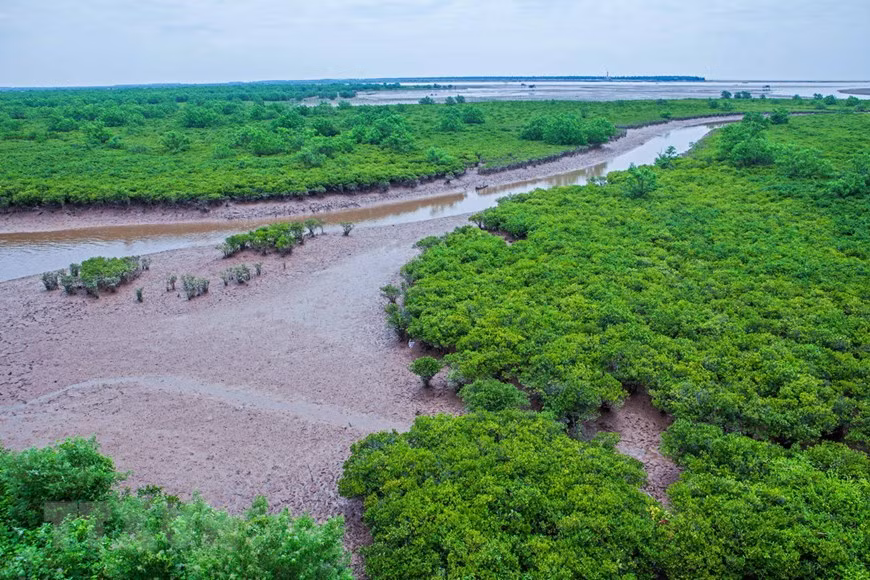 Exploring nine Ramsar sites of Vietnam ảnh 1