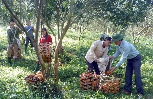 Labour productivity critical for growth: minister ảnh 1