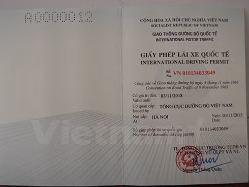 International driving licence officially issued online ảnh 1
