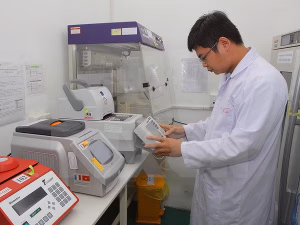 Guidance on diagnosis and treatment for Zika virus announced ảnh 1 Guidance on diagnosis and treatment for Zika virus announced ảnh 1