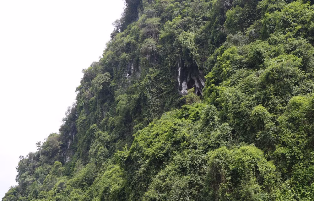 Unique Hang Uc pagoda in Yen Bai under development ảnh 1
