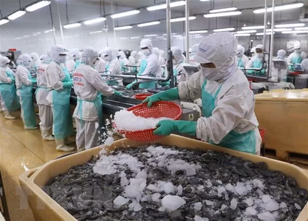 Regional partnership facilitates trade and economic recovery ảnh 1