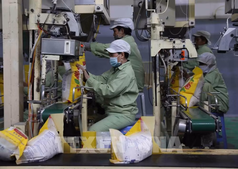 Vietnam Trade Office supports exports to EU ảnh 1